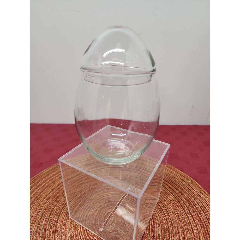 Vintage Libbey Clear Glass Egg Shaped Apothecary/Terrarium Jar 6.5 Inches Retro